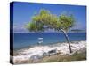 Deserted Island Beach, Lumbarda, Corcula (Korcula) Island, Southern Dalmatia, Croatia, Europe-Peter Higgins-Stretched Canvas