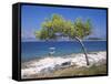 Deserted Island Beach, Lumbarda, Corcula (Korcula) Island, Southern Dalmatia, Croatia, Europe-Peter Higgins-Framed Stretched Canvas