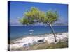 Deserted Island Beach, Lumbarda, Corcula (Korcula) Island, Southern Dalmatia, Croatia, Europe-Peter Higgins-Stretched Canvas