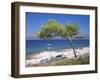 Deserted Island Beach, Lumbarda, Corcula (Korcula) Island, Southern Dalmatia, Croatia, Europe-Peter Higgins-Framed Photographic Print