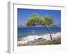 Deserted Island Beach, Lumbarda, Corcula (Korcula) Island, Southern Dalmatia, Croatia, Europe-Peter Higgins-Framed Photographic Print