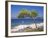 Deserted Island Beach, Lumbarda, Corcula (Korcula) Island, Southern Dalmatia, Croatia, Europe-Peter Higgins-Framed Photographic Print