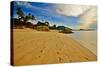 Deserted Morning Beach With Golden Sand And Footprints-vitalytitov-Stretched Canvas