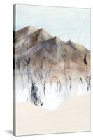 Deserted Mountain I-PI Studio-Stretched Canvas