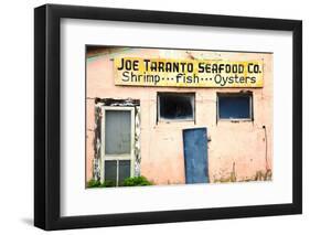 Deserted Old Oyster House, Apalachicola, Florida, USA-Joanne Wells-Framed Photographic Print