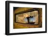 Deserted-Linda Wride-Framed Photographic Print