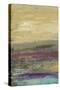 Desertscape I-Lisa Choate-Stretched Canvas