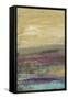 Desertscape I-Lisa Choate-Framed Stretched Canvas