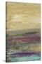 Desertscape I-Lisa Choate-Stretched Canvas