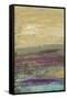 Desertscape I-Lisa Choate-Framed Stretched Canvas