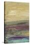 Desertscape I-Lisa Choate-Stretched Canvas