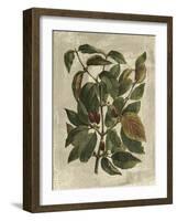 Deshayes Tree II-Gerard Paul Deshayes-Framed Art Print