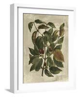 Deshayes Tree II-Gerard Paul Deshayes-Framed Art Print
