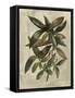 Deshayes Tree III-Gerard Paul Deshayes-Framed Stretched Canvas