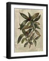 Deshayes Tree III-Gerard Paul Deshayes-Framed Art Print