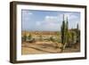 Desierto de Tatocoa (Tatacoa Desert), Colombia, South America-Peter Groenendijk-Framed Photographic Print