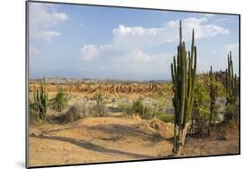 Desierto de Tatocoa (Tatacoa Desert), Colombia, South America-Peter Groenendijk-Mounted Photographic Print