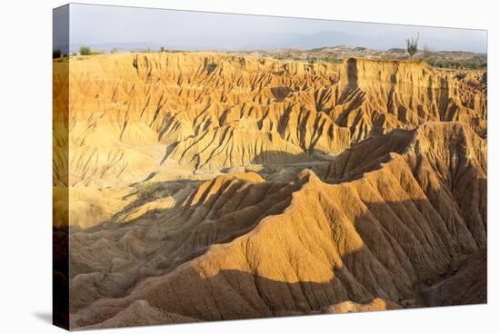 Desierto de Tatocoa (Tatacoa Desert), Colombia, South America-Peter Groenendijk-Stretched Canvas