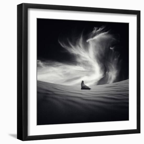 Desierto-Luis Beltran-Framed Photographic Print