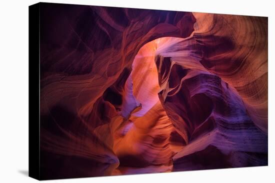 Design by Nature, Page Arizona-Vincent James-Stretched Canvas