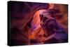 Design by Nature, Page Arizona-Vincent James-Stretched Canvas