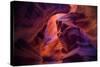 Design by Nature, Page Arizona-Vincent James-Stretched Canvas