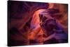 Design by Nature, Page Arizona-Vincent James-Stretched Canvas