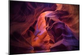 Design by Nature, Page Arizona-Vincent James-Mounted Photographic Print