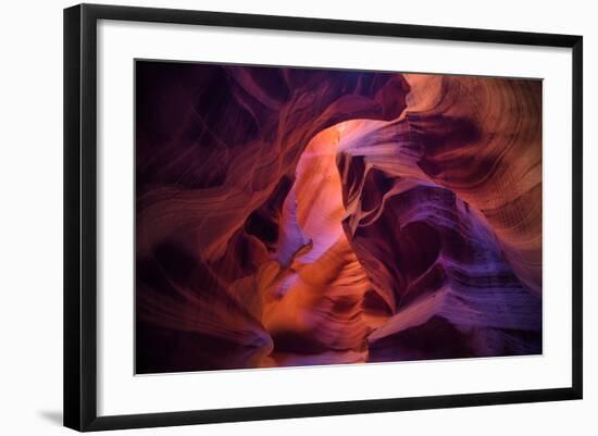 Design by Nature, Page Arizona-Vincent James-Framed Photographic Print