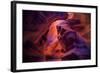 Design by Nature, Page Arizona-Vincent James-Framed Photographic Print