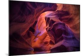 Design by Nature, Page Arizona-Vincent James-Mounted Photographic Print