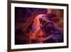 Design by Nature, Page Arizona-Vincent James-Framed Photographic Print