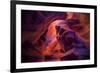 Design by Nature, Page Arizona-Vincent James-Framed Photographic Print