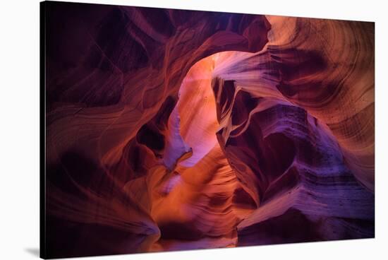 Design by Nature, Page Arizona-Vincent James-Stretched Canvas