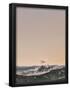 Essential Black
