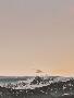 Just the Print
