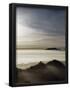 Essential Black
