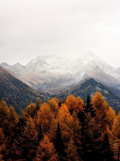 Premium Photographic Print, , large