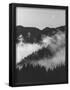 Essential Black