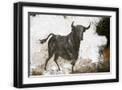 Black Frame