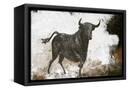 Canvas Black