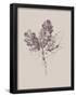 Essential Black