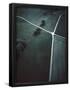 Essential Black