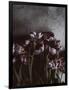 Gramercy Black