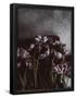 Essential Black
