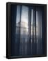 Essential Black
