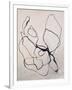 Gramercy White