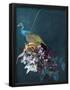 Essential Black
