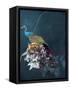 Canvas Black