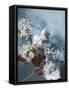 Canvas Black